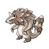 Battler sprite for Linoone