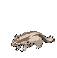 Battler sprite for Linoone