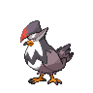 Battler sprite for Staraptor