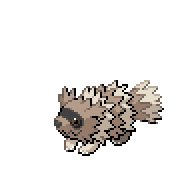 Battler sprite for Zigzagoon