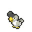 Squawkabilly