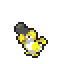 Squawkabilly