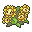 Sunflora